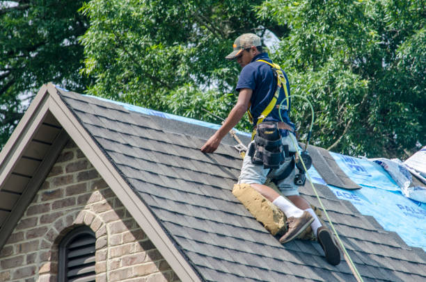 Quick and Trustworthy Emergency Roof Repair Services in Duluth, MN