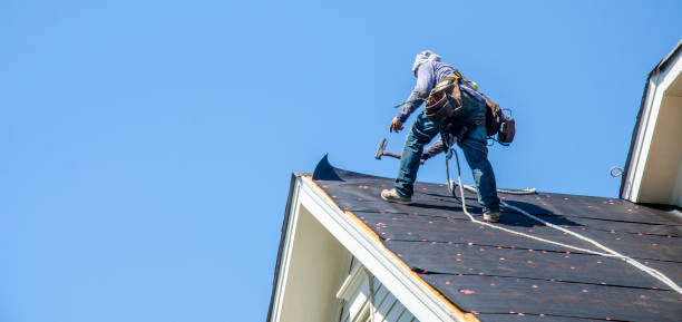 Best Slate Roofing Contractor  in Duluth, MN